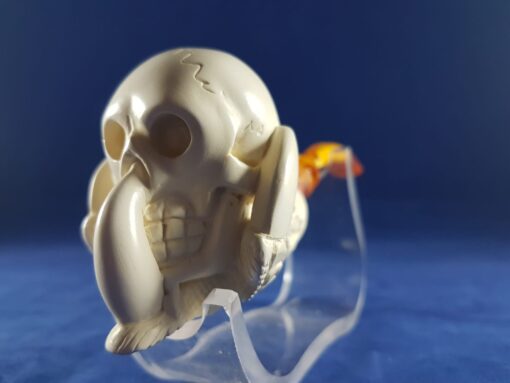 Skull in Claw Hand Carved Block Meerschaum Pipe
